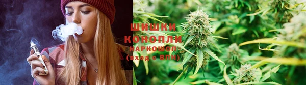 хмурый Дмитровск