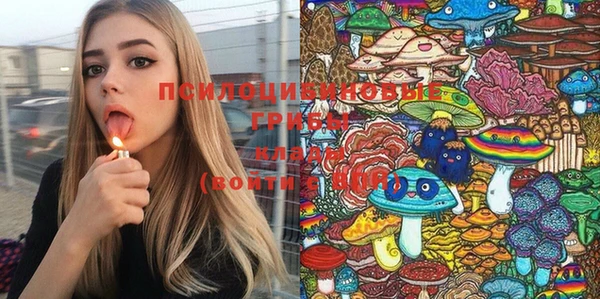 хмурый Дмитровск