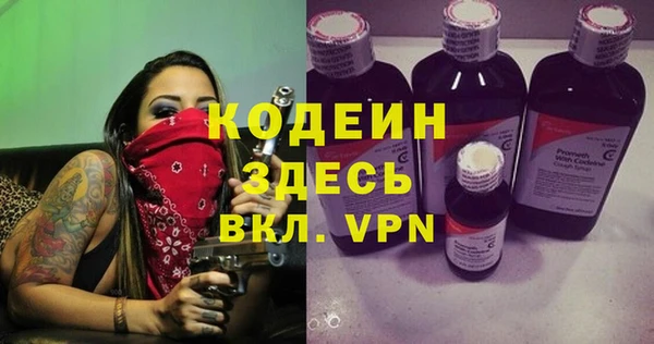 хмурый Дмитровск