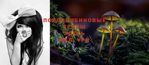 хмурый Дмитровск