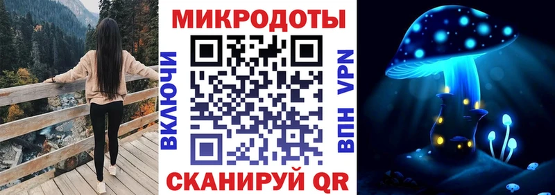 Купить  Полевской  Галлюциногенные грибы Psilocybe 
